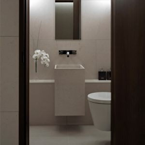 This image shows the powder room in this stylish London pied-a-terre.